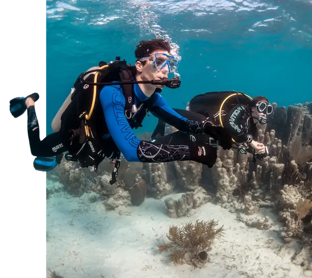 Divemaster Khao Lak Similan Diving Course Certification
