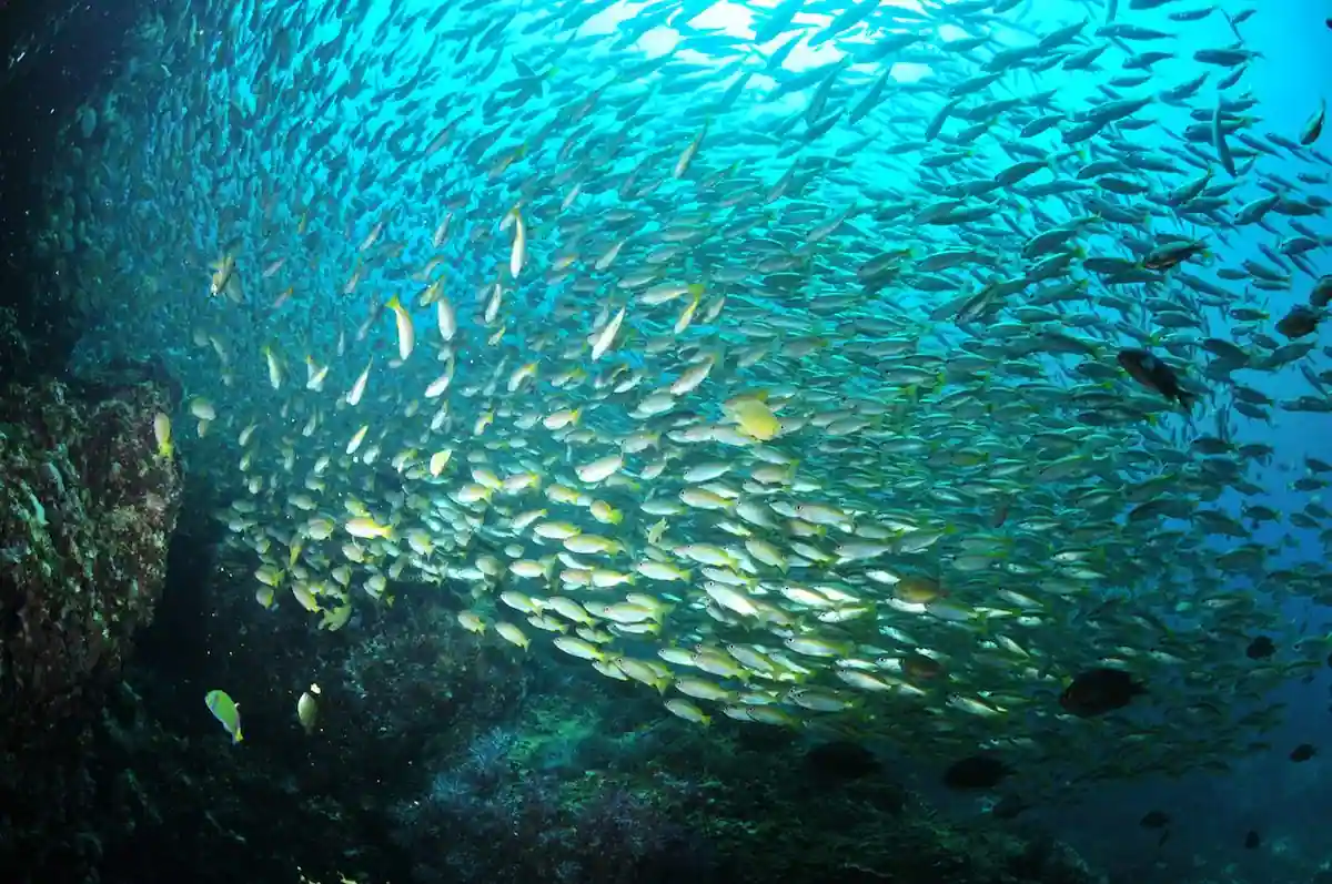 Île de l’archipel des Mergui