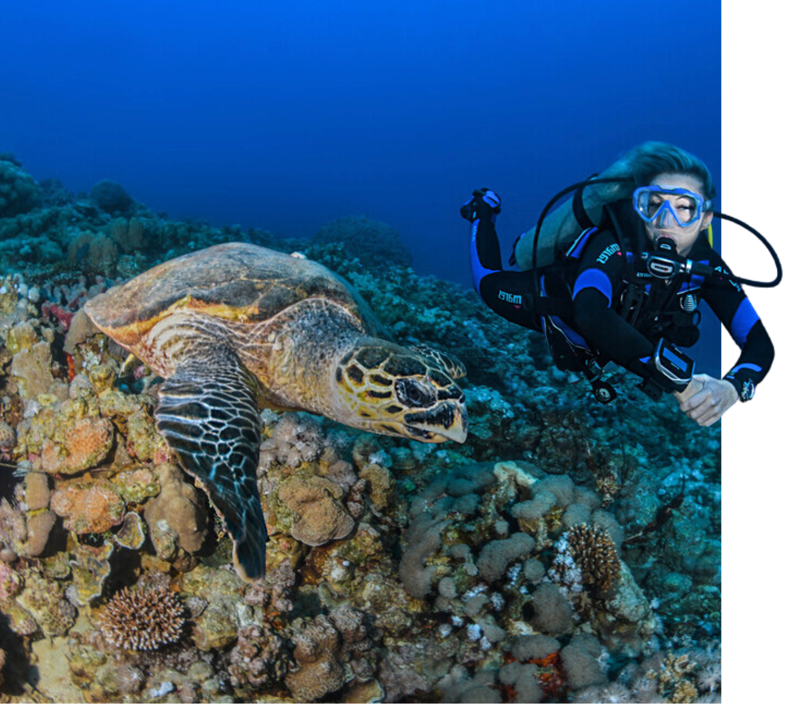 Open Water Khao Lak - Obtenez votre Certification Niveau Plongée aux Îles Similan en Thaïlande