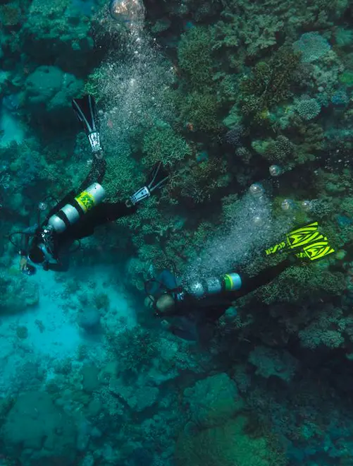 Nitrox Course Khao Lak CMAS SSI PADI - Diving certification